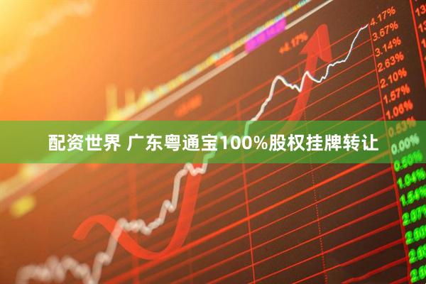 配资世界 广东粤通宝100%股权挂牌转让